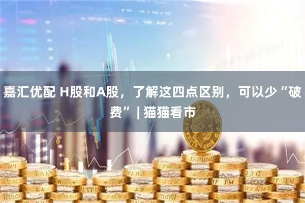 嘉汇优配 H股和A股，了解这四点区别，可以少“破费” | 猫猫看市