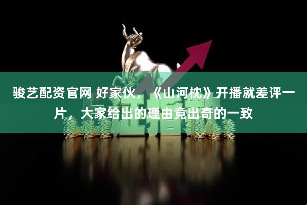 骏艺配资官网 好家伙，《山河枕》开播就差评一片，大家给出的理由竟出奇的一致