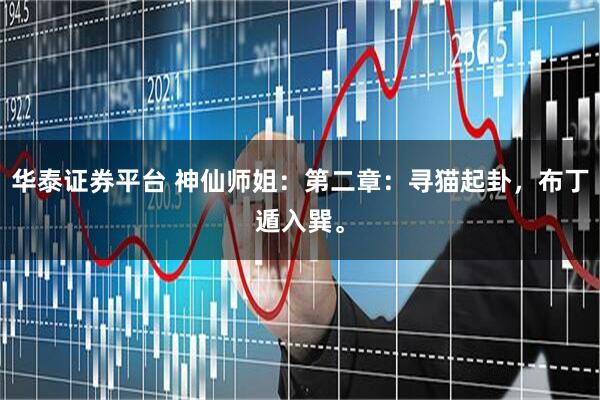 华泰证券平台 神仙师姐：第二章：寻猫起卦，布丁遁入巽。