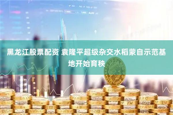 黑龙江股票配资 袁隆平超级杂交水稻蒙自示范基地开始育秧