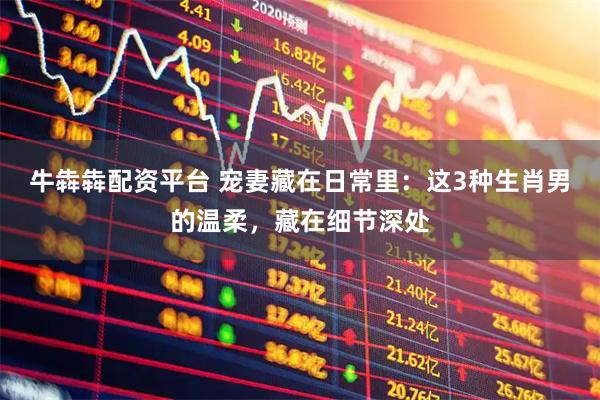 牛犇犇配资平台 宠妻藏在日常里：这3种生肖男的温柔，藏在细节深处